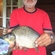 Prussian carp