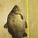 Prussian carp