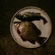 Crucian carp