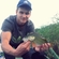 Eurasian perch