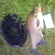 Carp bream