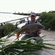 Carp