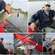 Pike perch