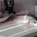 Pike perch