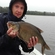 Carp bream