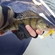 Eurasian perch