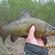 Tench