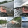 Pike perch