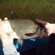 Carp bream