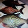 Carp bream