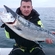 Atlantic salmon