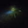 Burbot
