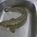 Burbot