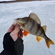 Eurasian perch