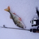 Eurasian perch