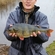Eurasian perch