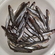 European smelt