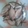 Carp bream