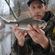 Grayling