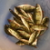 Eurasian perch