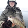 Eurasian perch