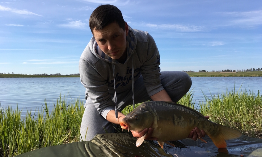 Carp