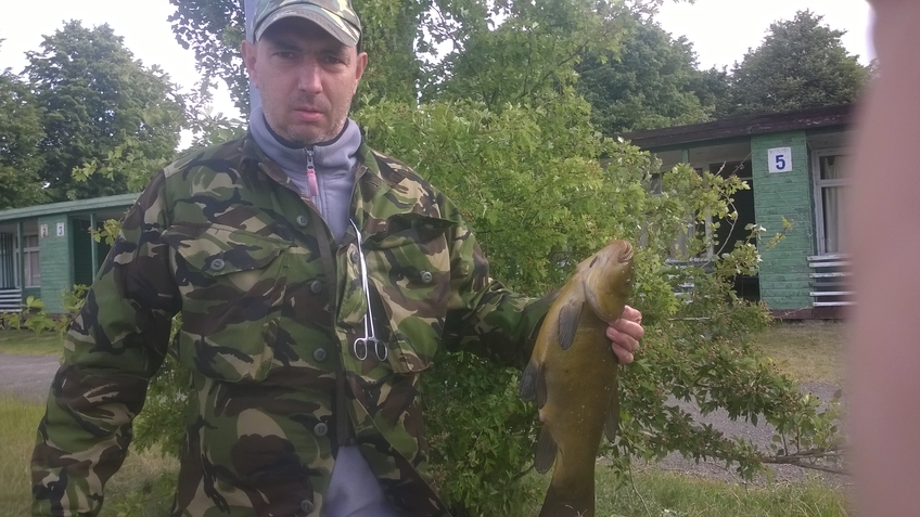 Tench