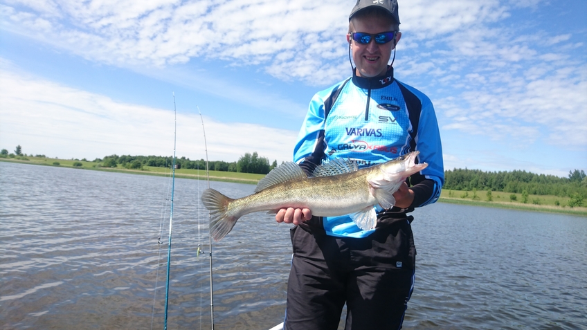 Pike perch