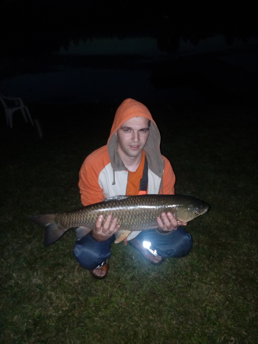 Black carp