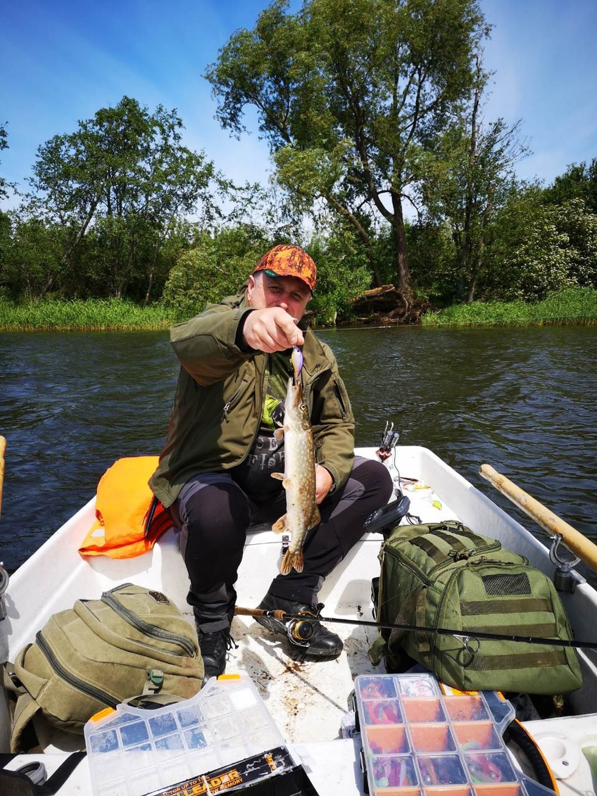 Northern Pike