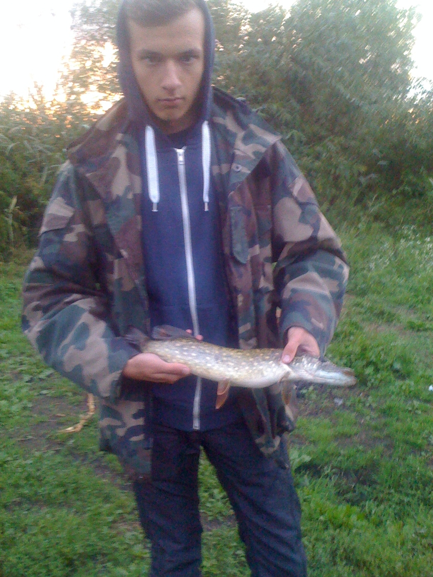 Northern Pike