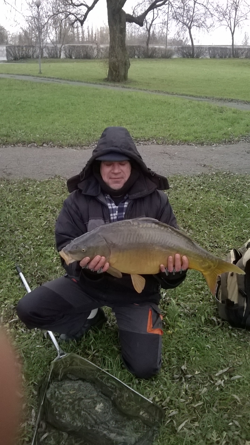 Carp
