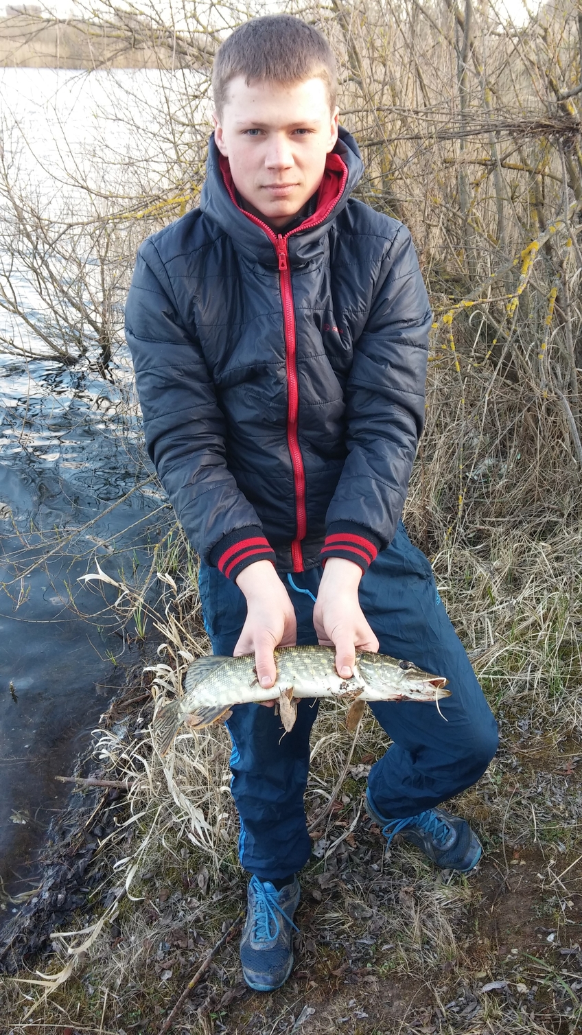 Northern Pike