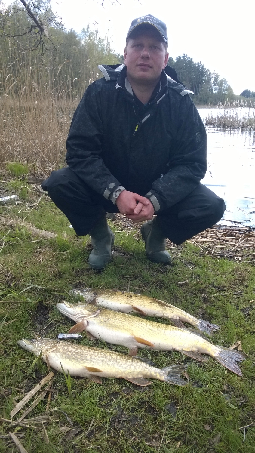 Northern Pike