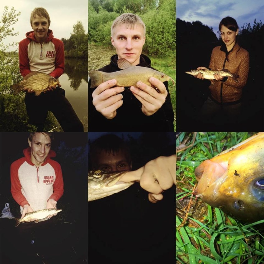 Prussian carp