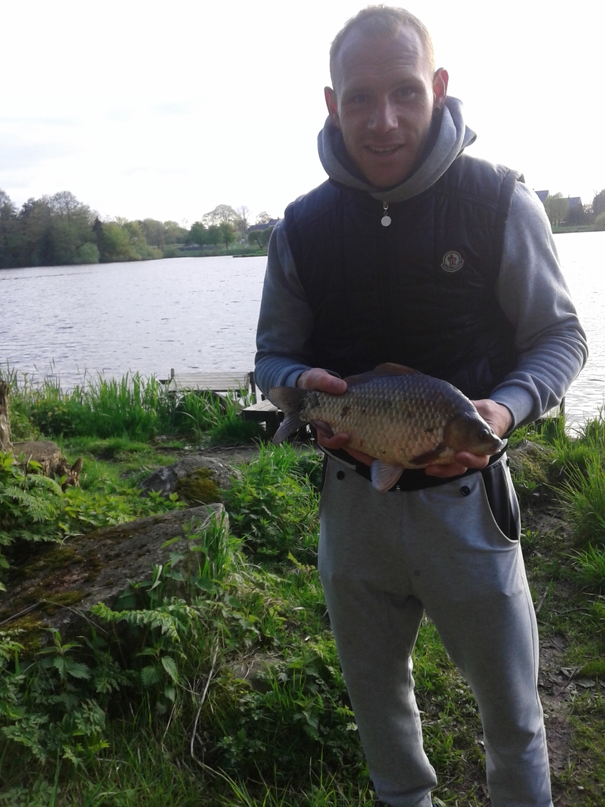 Prussian carp