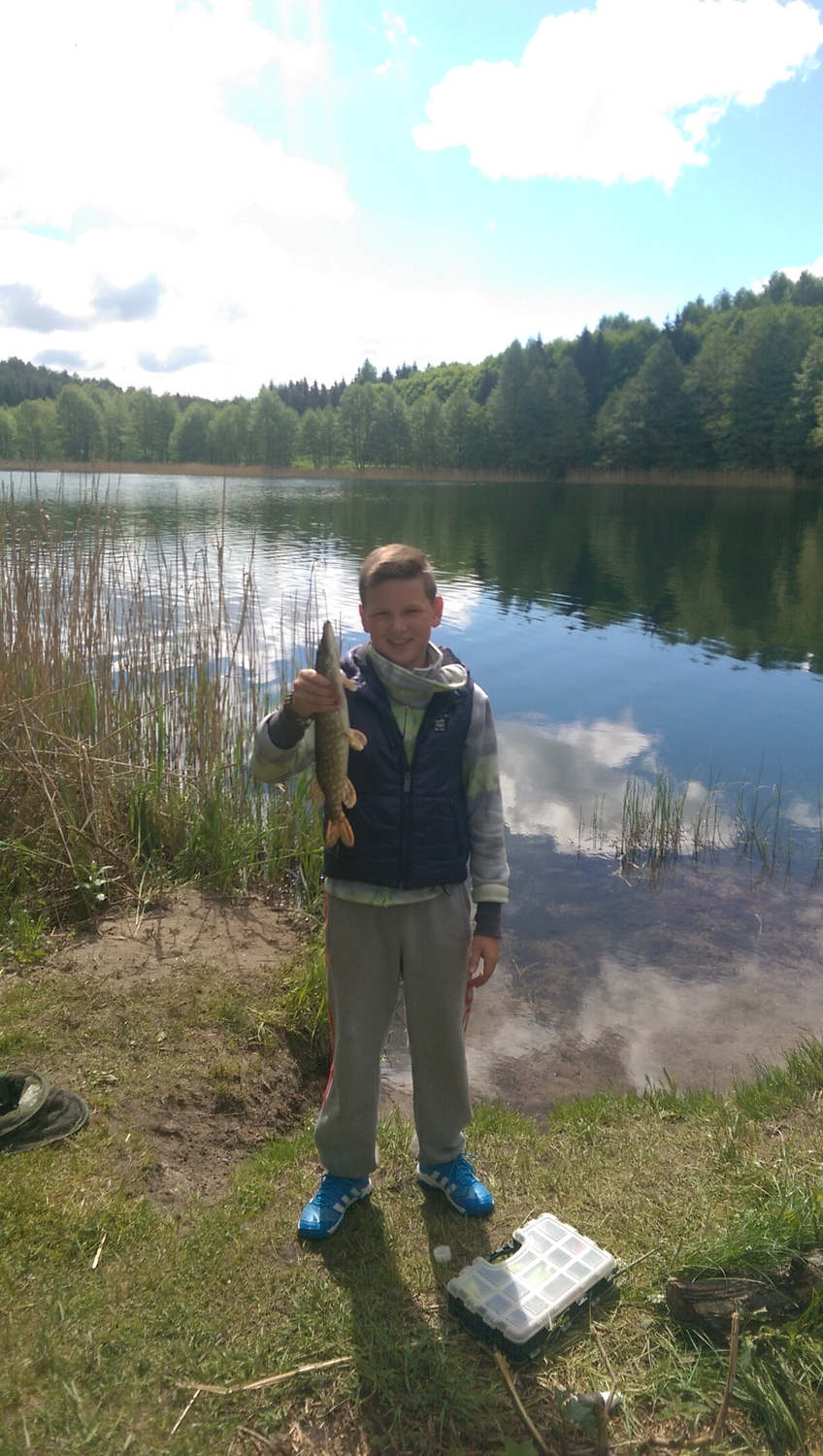 Northern Pike