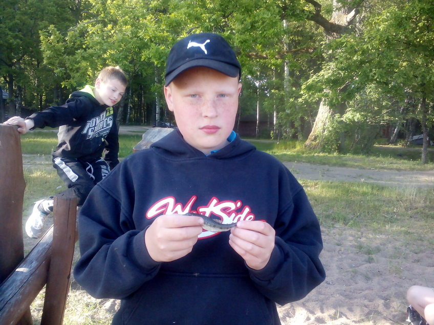 Gudgeon