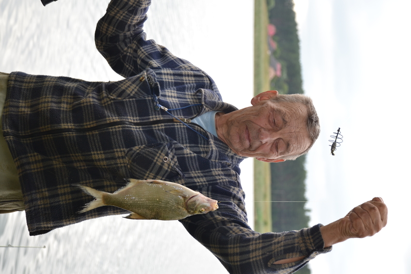Carp bream