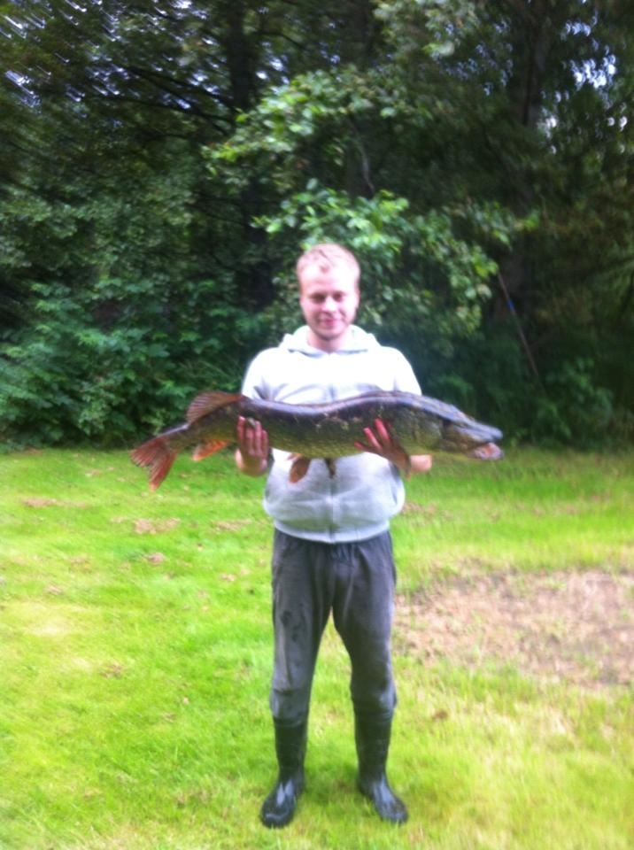 Northern Pike