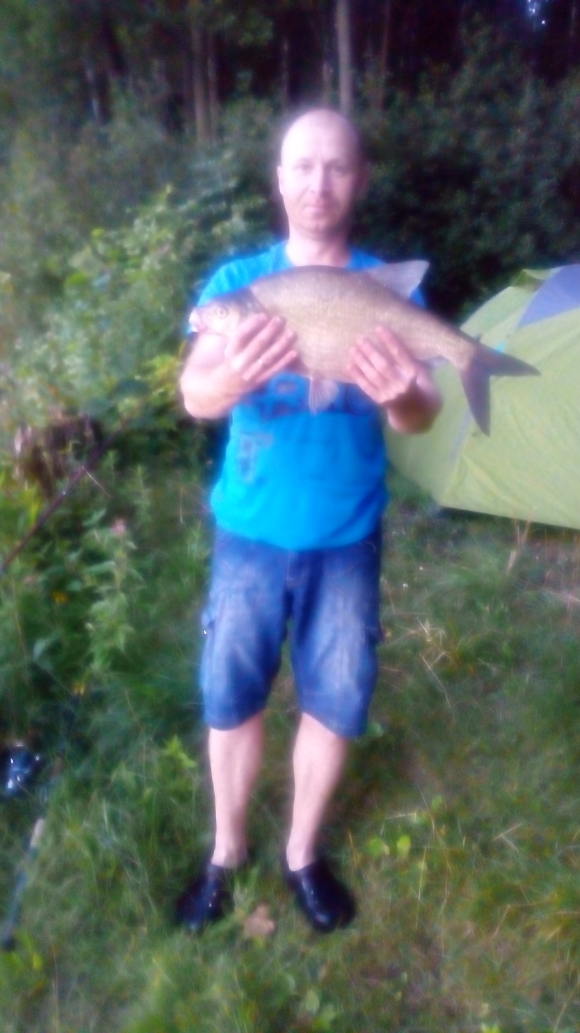 Carp bream