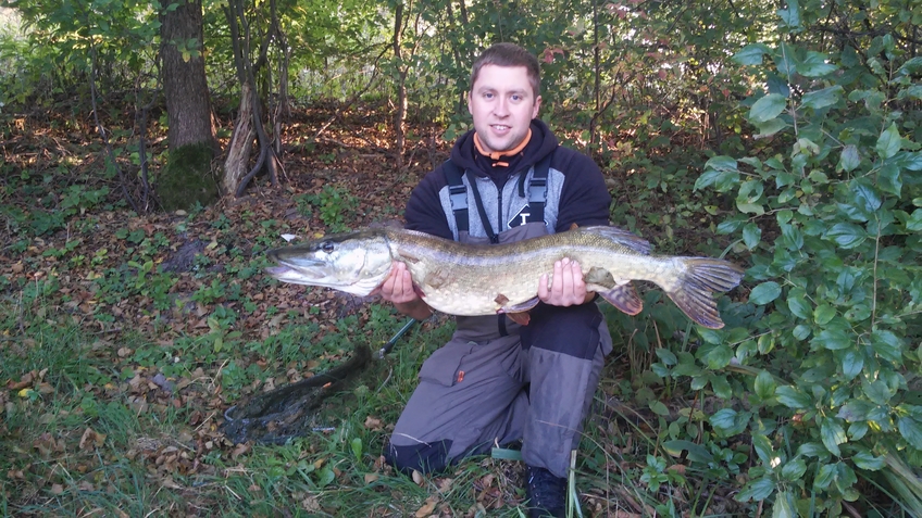 Northern Pike