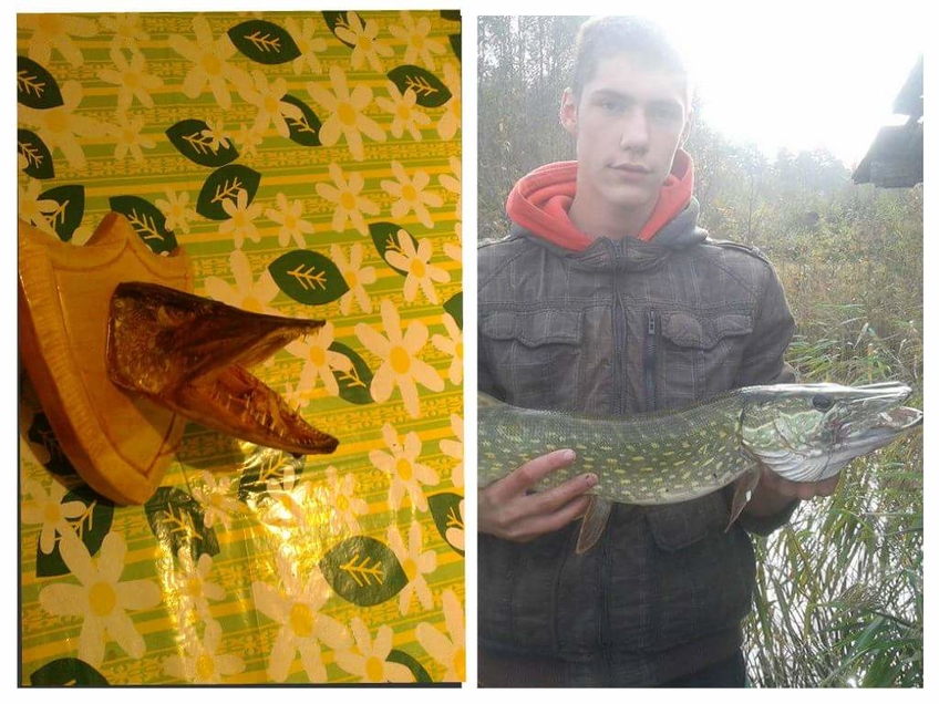 Northern Pike