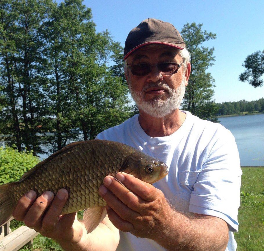 Prussian carp