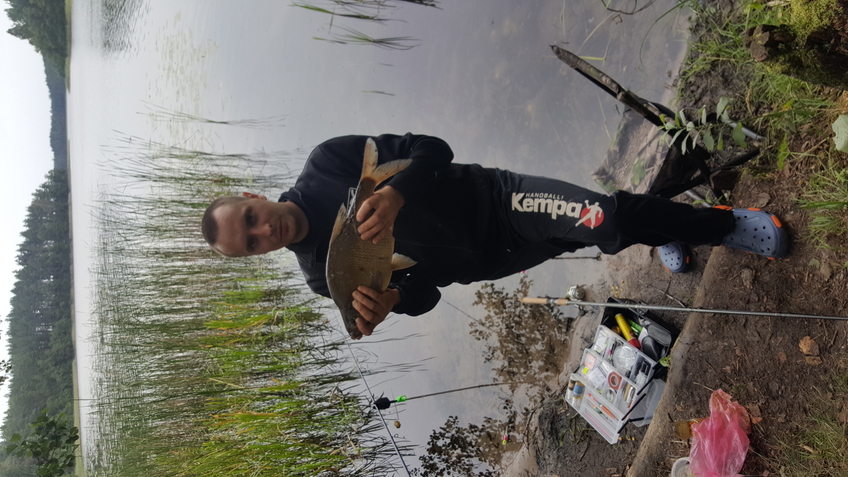 Carp bream