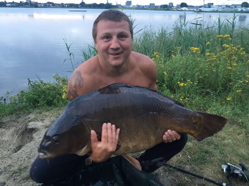 Mirror carp