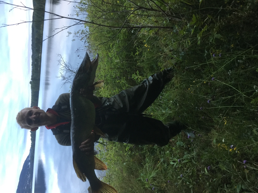 Northern Pike