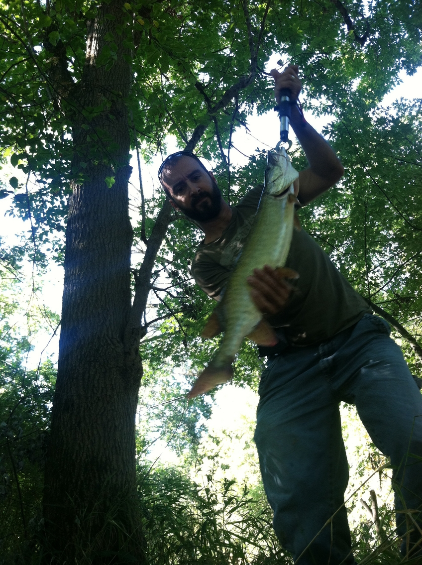 Muskellunge