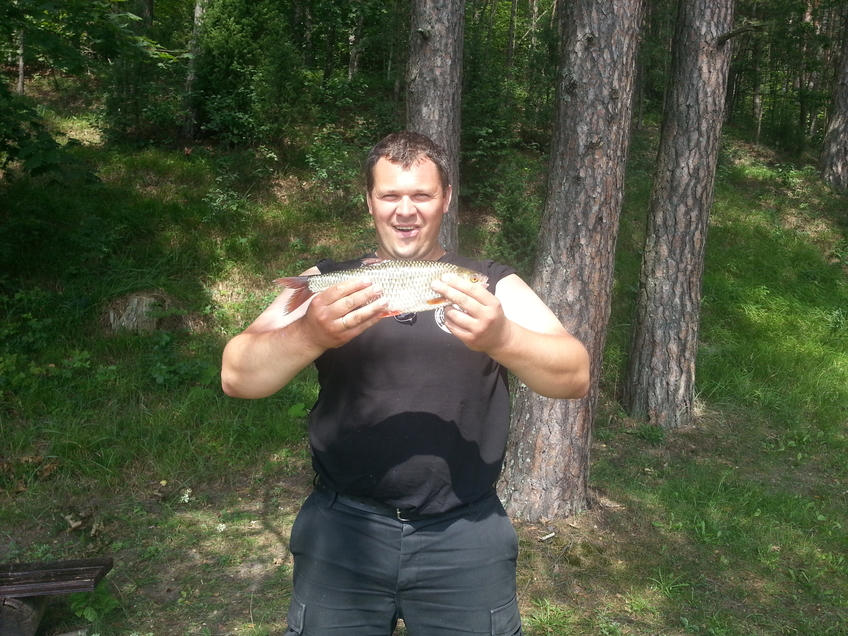 Roach