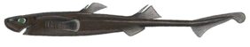 Cylindrical Lanternshark